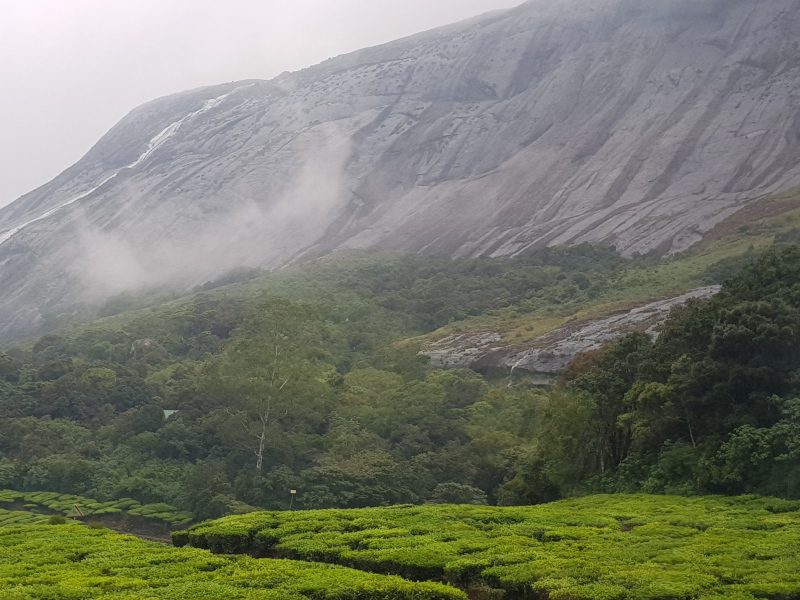 Image of Clouds dance like wisps of cotton on the mountains in Eravikulam National Park, Kerala