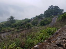 Image of 1-KM climb to the highest point, Eravikulam Park, Kerala.