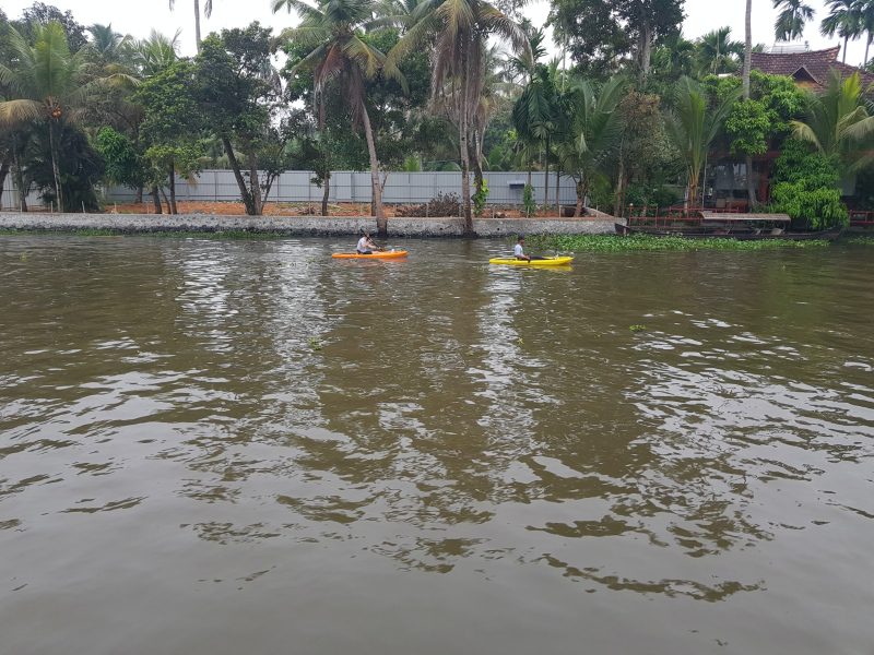 Kumarakom Backwaters landscape